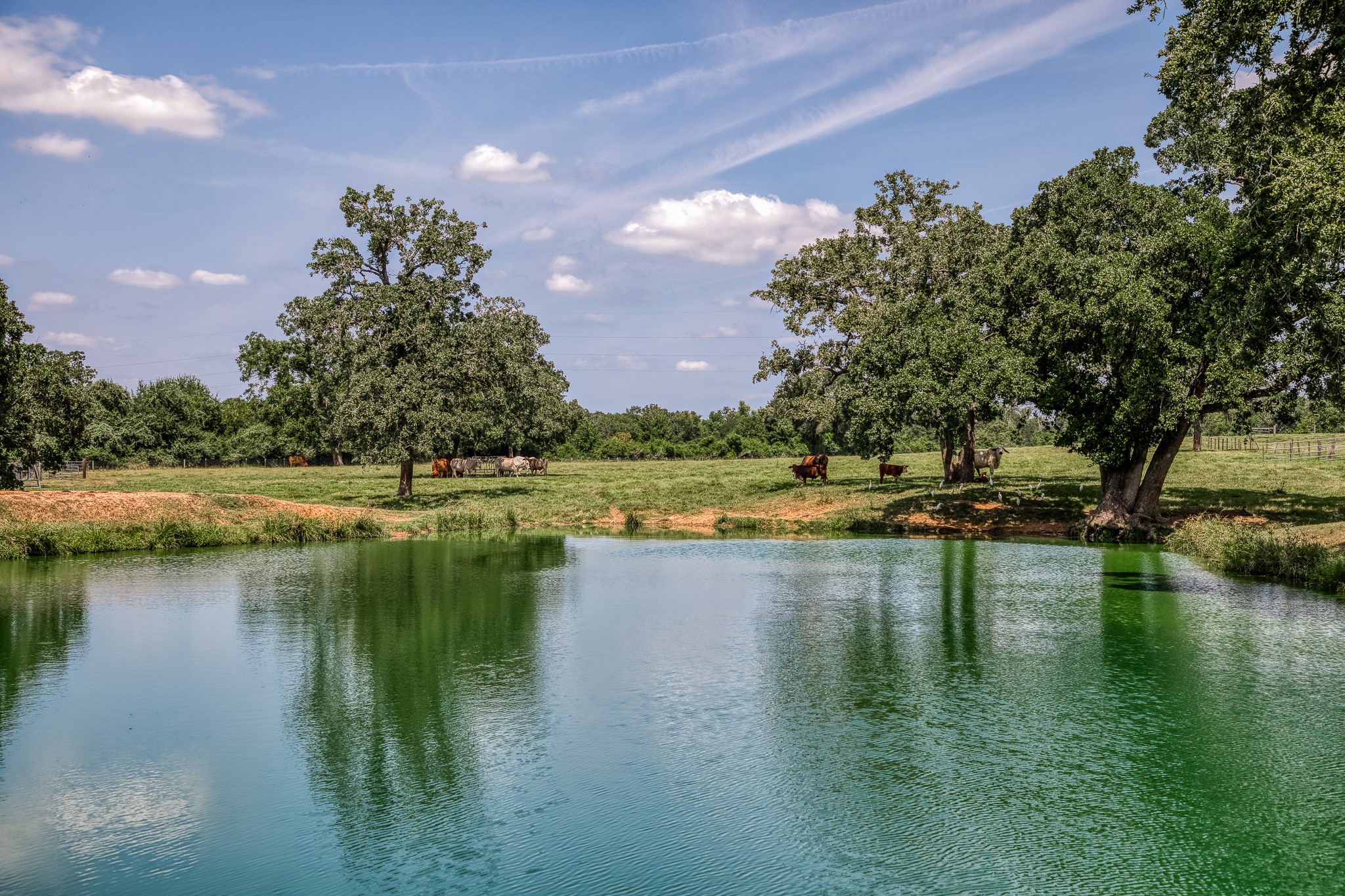 38134 Canty Road Hempstead, TX 77445 - Photo 47 of 48