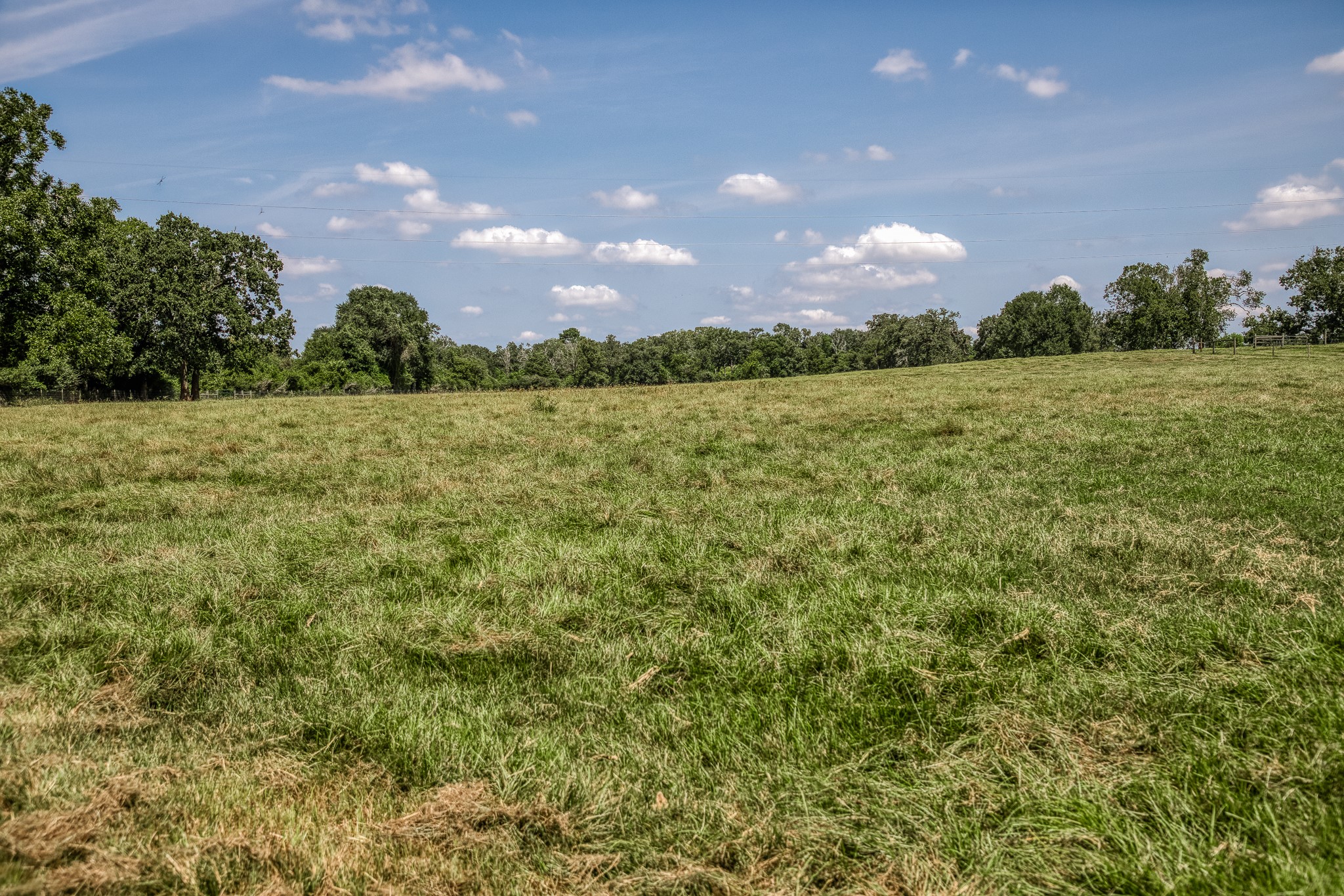 38134 Canty Road Hempstead, TX 77445 - Photo 5 of 48