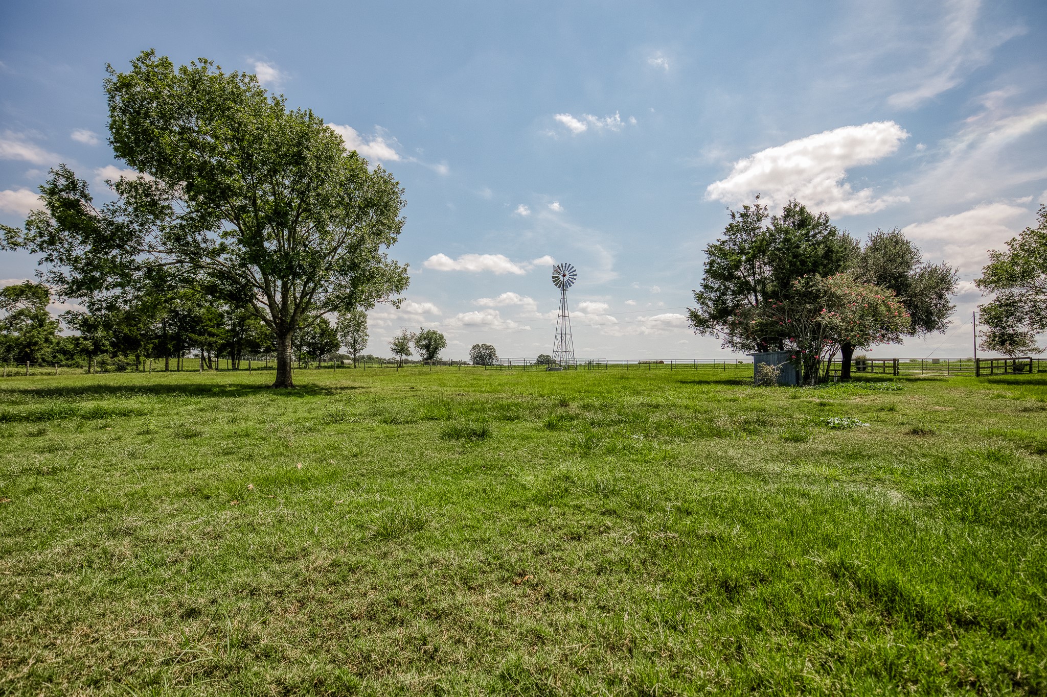 38134 Canty Road Hempstead, TX 77445 - Photo 6 of 48