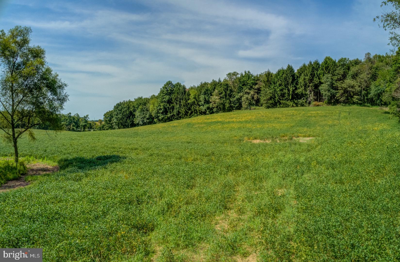 Everett Road Monkton, MD 21111 - Photo 11 of 11