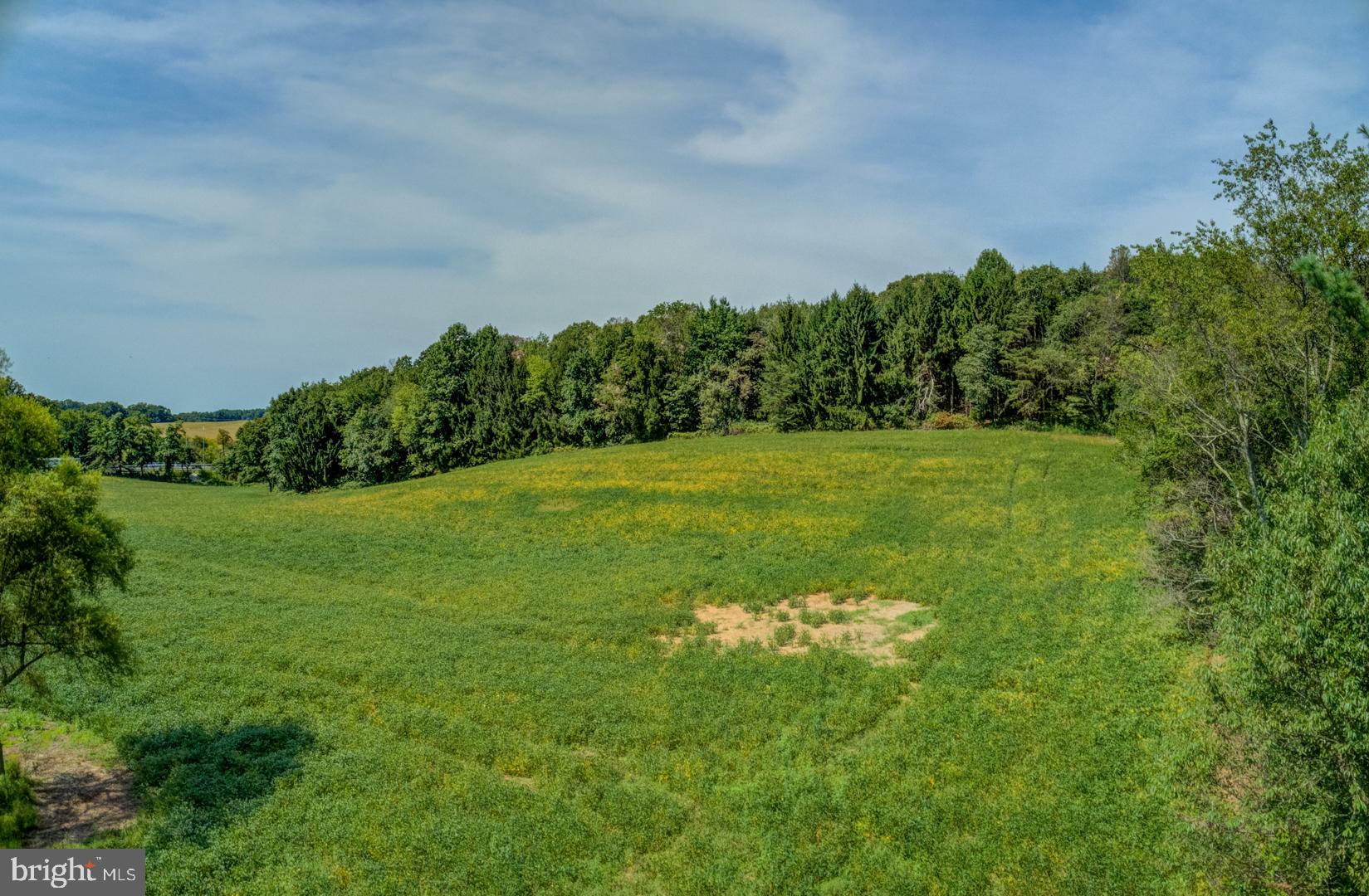 Everett Road Monkton, MD 21111 - Photo 4 of 11
