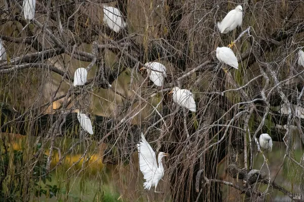 a bathroom with a vanity and bathtub