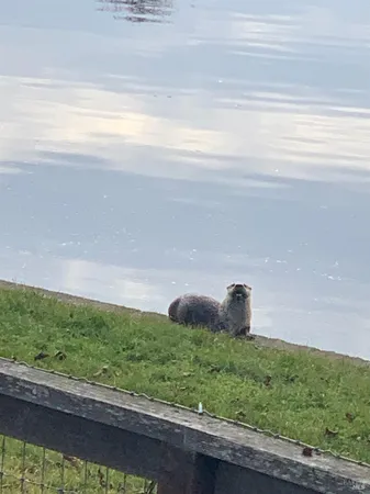 swimming pool view with a seating space