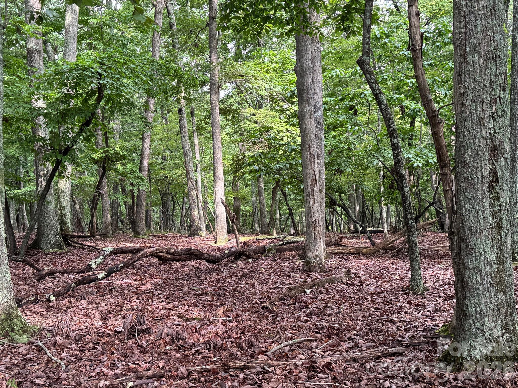 1695 Sierra Trace Road Denton, NC 27239 - Photo 2 of 12