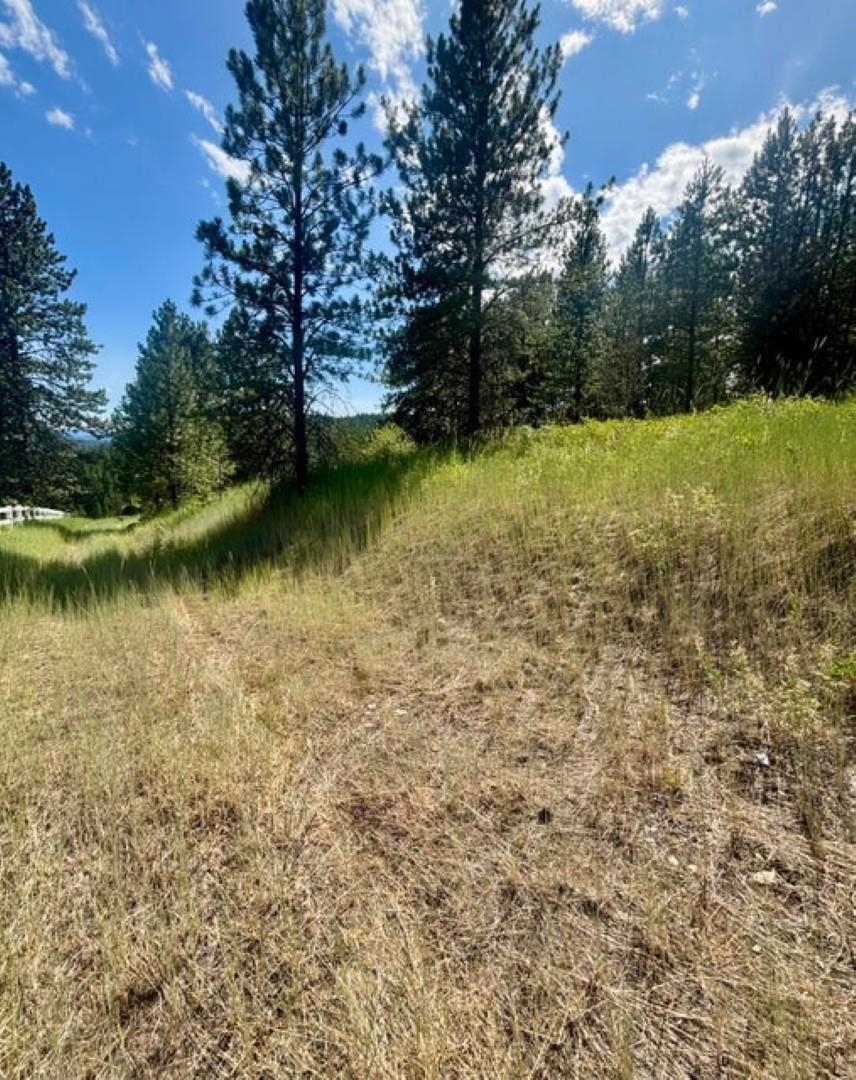 Xxxx Hill Loop Road Kettle Falls, WA 99141 - Photo 12 of 17 Gallery Image 12