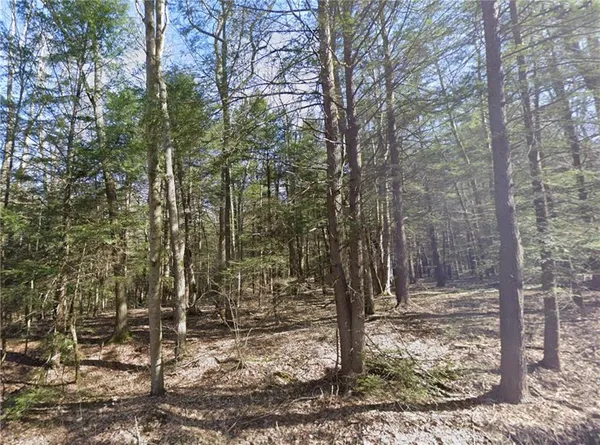 $20,950 | 0 Stagers Road, Summerhill, PA 15958