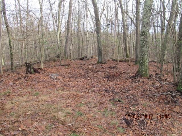 225 Knibb Road Burrillville, RI 02859 - Photo 3 of 10