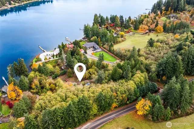 a view of a tree with a yard