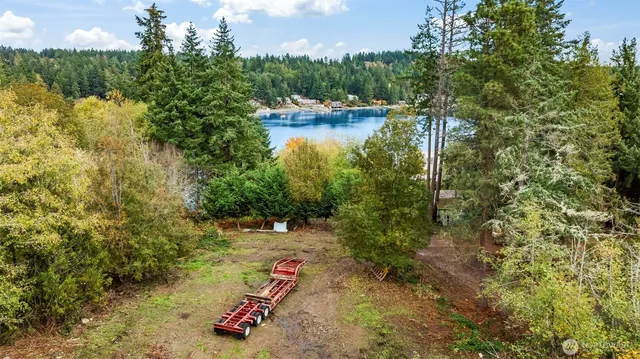 a view of outdoor space with trees all around