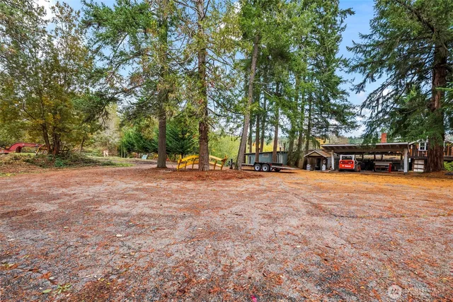 a view of a yard with plants and trees