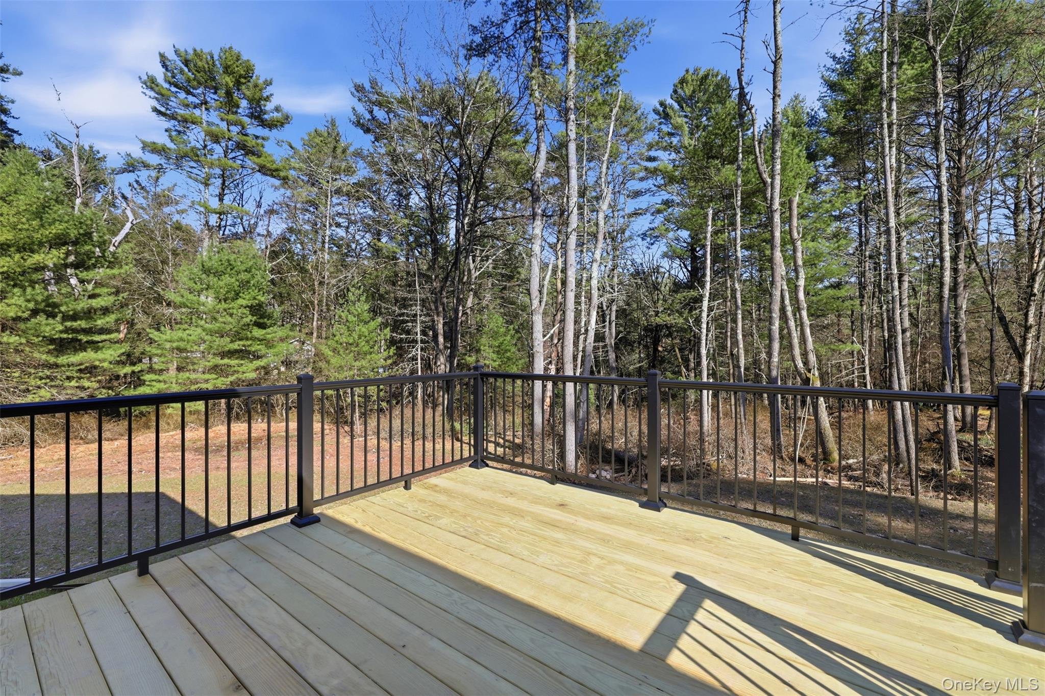 21 Crawford Road Eldred, NY 12732 - Photo 15 of 48