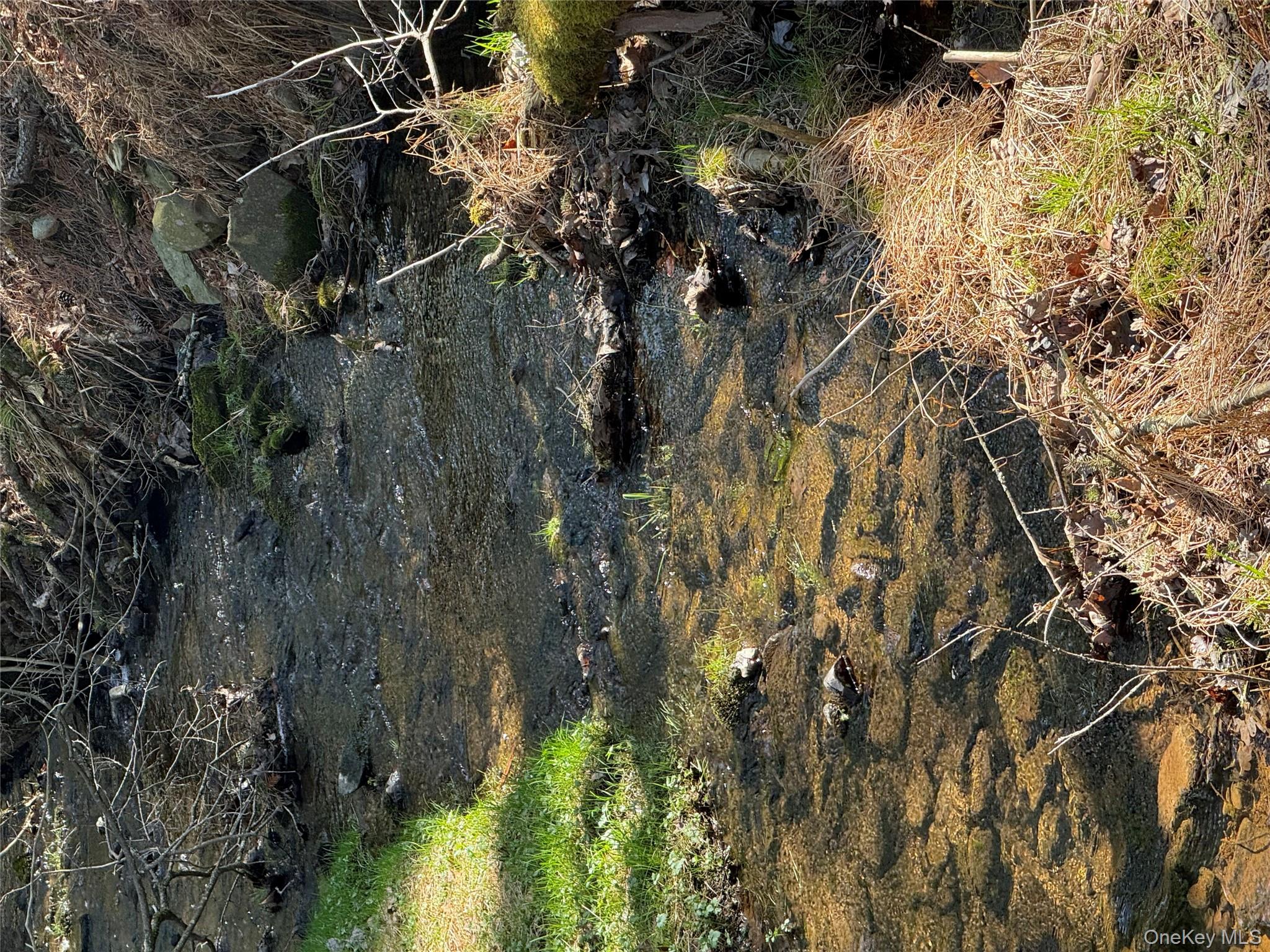 21 Crawford Road Eldred, NY 12732 - Photo 4 of 48