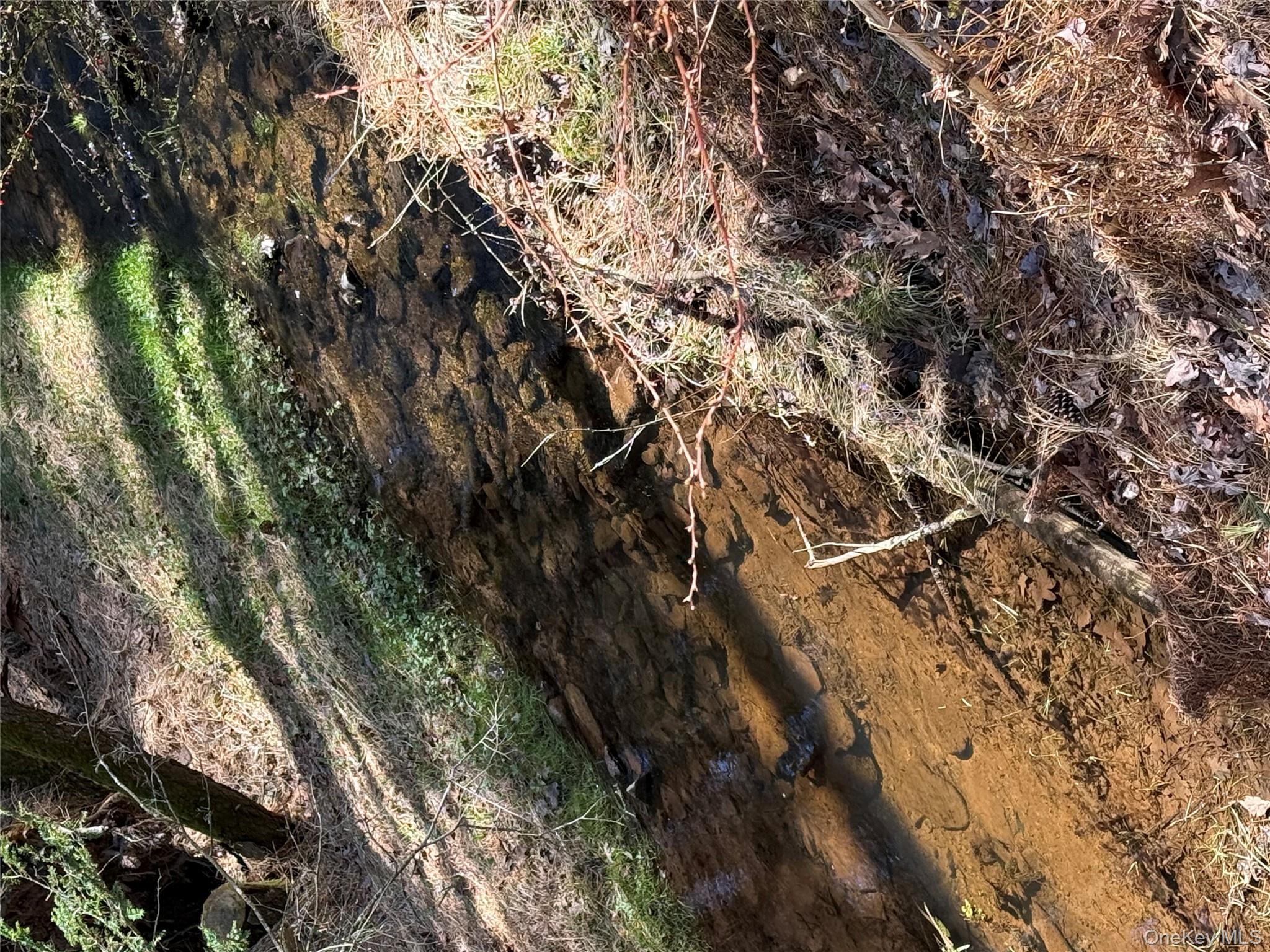 21 Crawford Road Eldred, NY 12732 - Photo 48 of 48