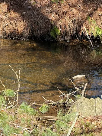a view of a lake from a yard