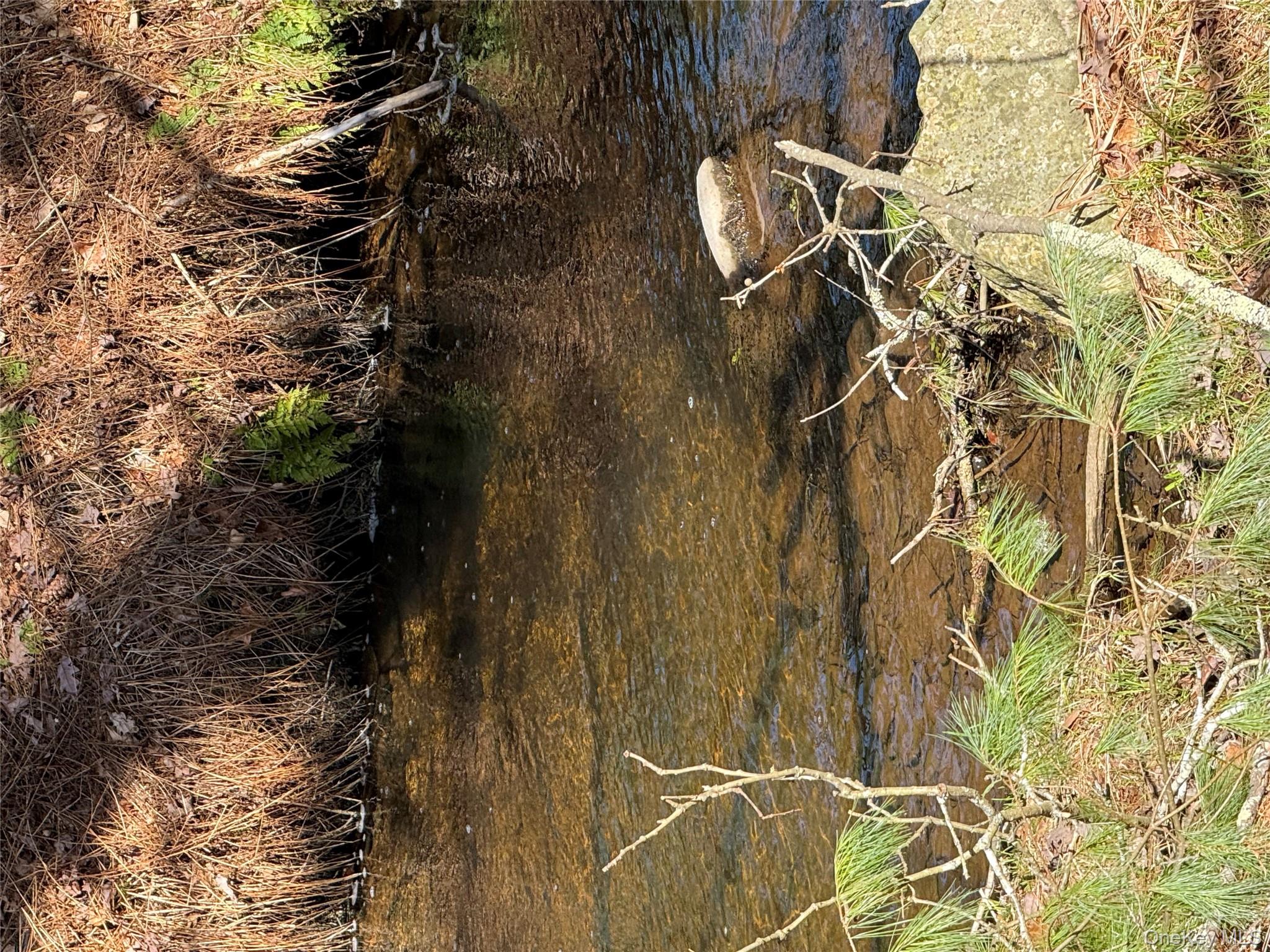 21 Crawford Road Eldred, NY 12732 - Photo 5 of 48