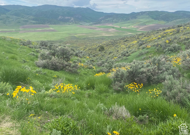 13900 Dirty Head Road Clarkston, UT 84305 - Photo 18 of 25 Mountain view