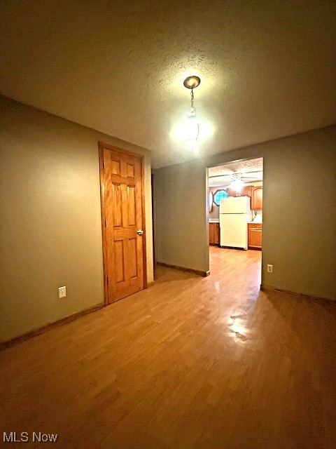 3804 Mahoning Road Northeast Canton, OH 44705 - Photo 8 of 22 Empty room with light wood-style floors, baseboards, and a textured ceiling