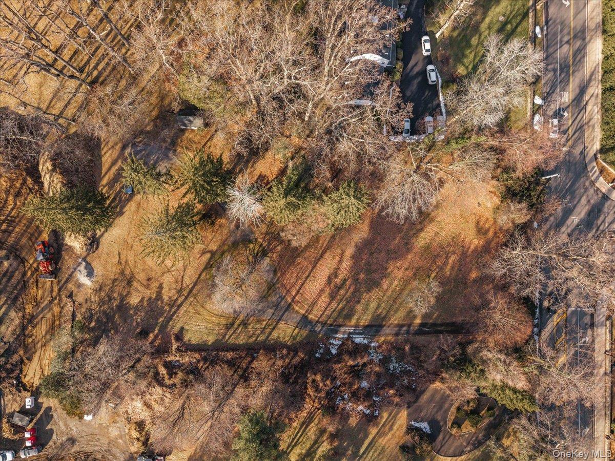 234 Wilmot Road New Rochelle, NY 10804 - Photo 2 of 10 a view of tree