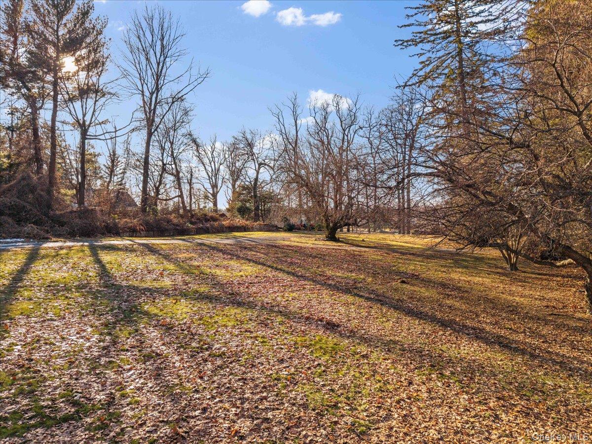 234 Wilmot Road New Rochelle, NY 10804 - Photo 3 of 10 a view of dirt yard with a large tree