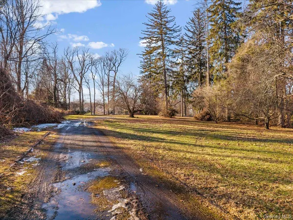 a view of road and trees