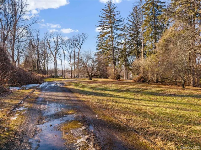 a view of road and trees