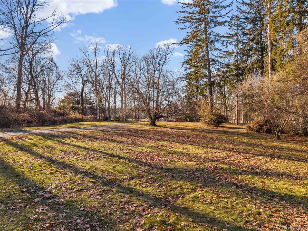 234 Wilmot Road New Rochelle, NY 10804 - Photo 8 of 10 a view of road and trees