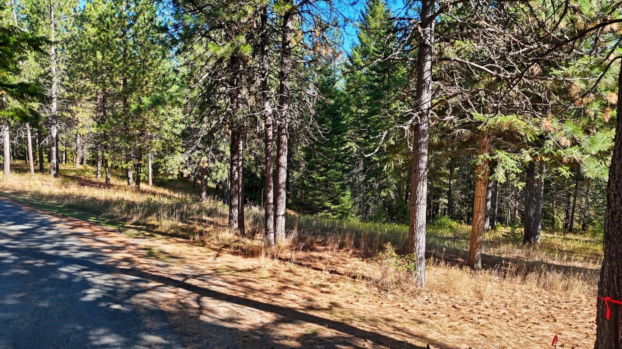 Nka West Barrett Drive, Unit LOT 2 Rathdrum, ID 83858 - Photo 3 of 12