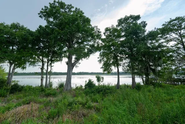 a view of lake with a tree