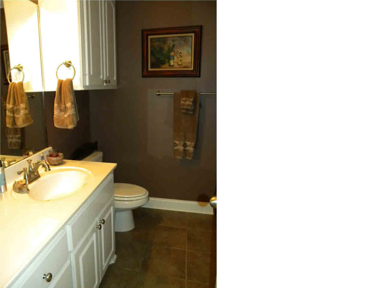 501 Springhill Place Brandon, MS 39047 - Photo 17 of 20 Hallway Bath