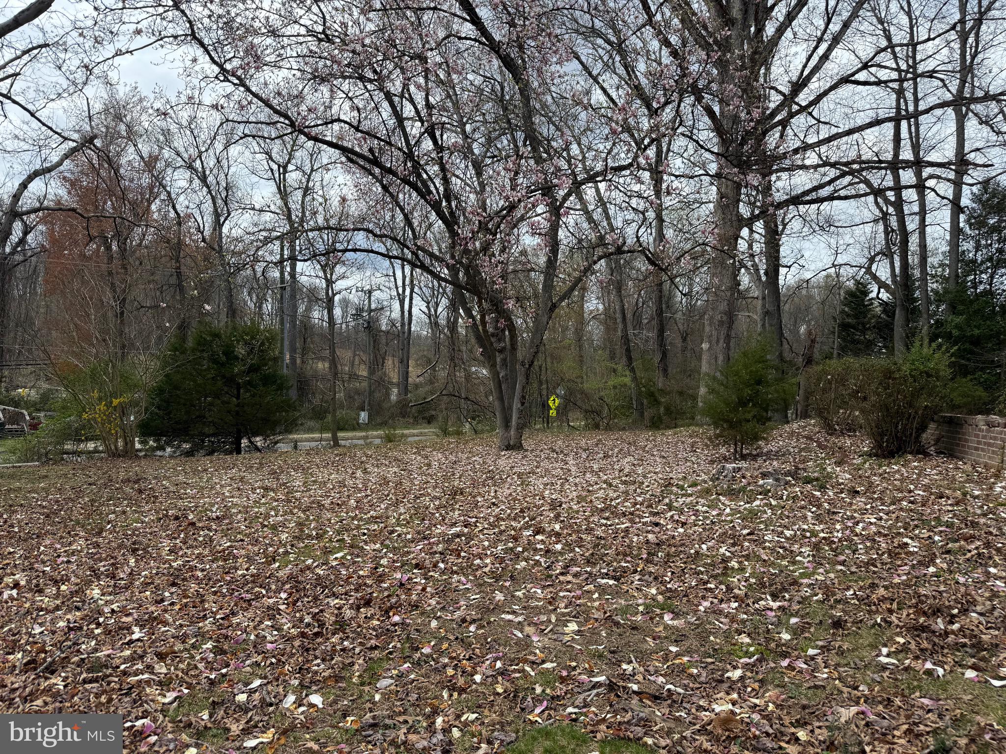 18822 Kerill Road Triangle, VA 22172 - Photo 4 of 9 a view of a yard with plants and trees