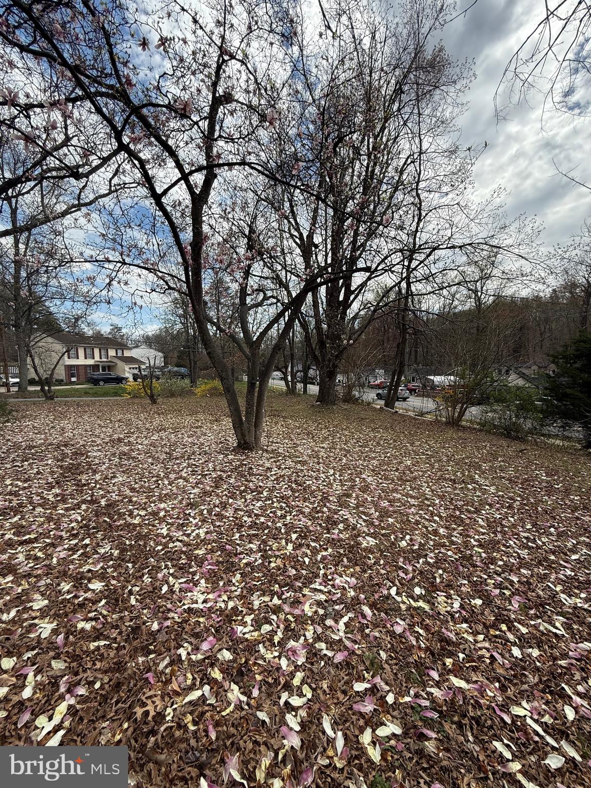 18822 Kerill Road Triangle, VA 22172 - Photo 6 of 9 a backyard of a house with lots of green space