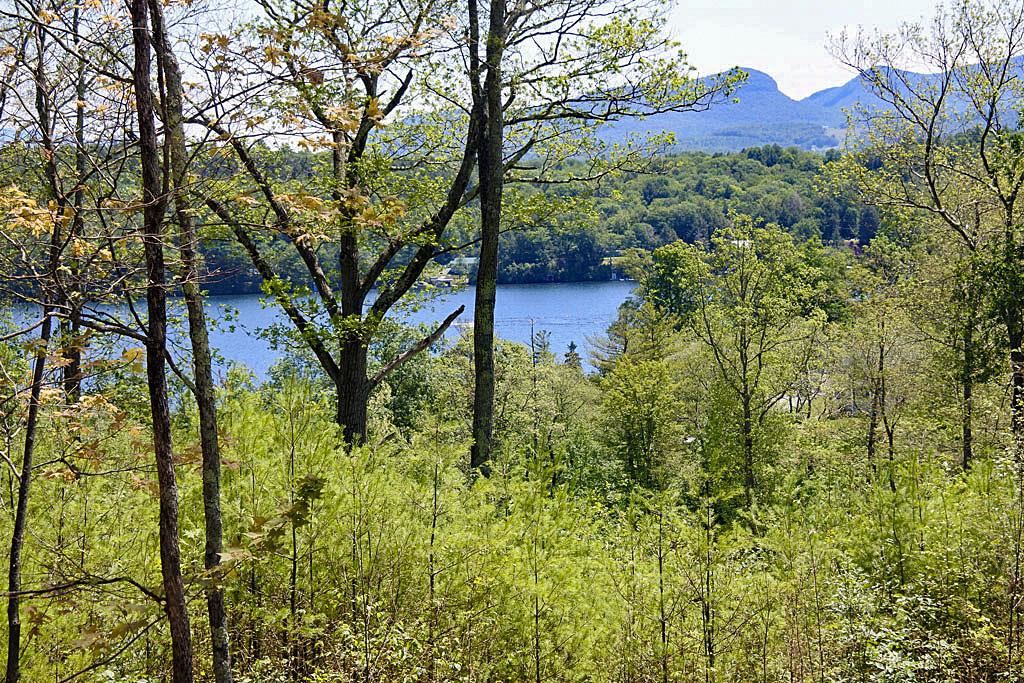 183 Bluebell Lane Castleton, VT 05743 - Photo 15 of 40 Gallery Image 15