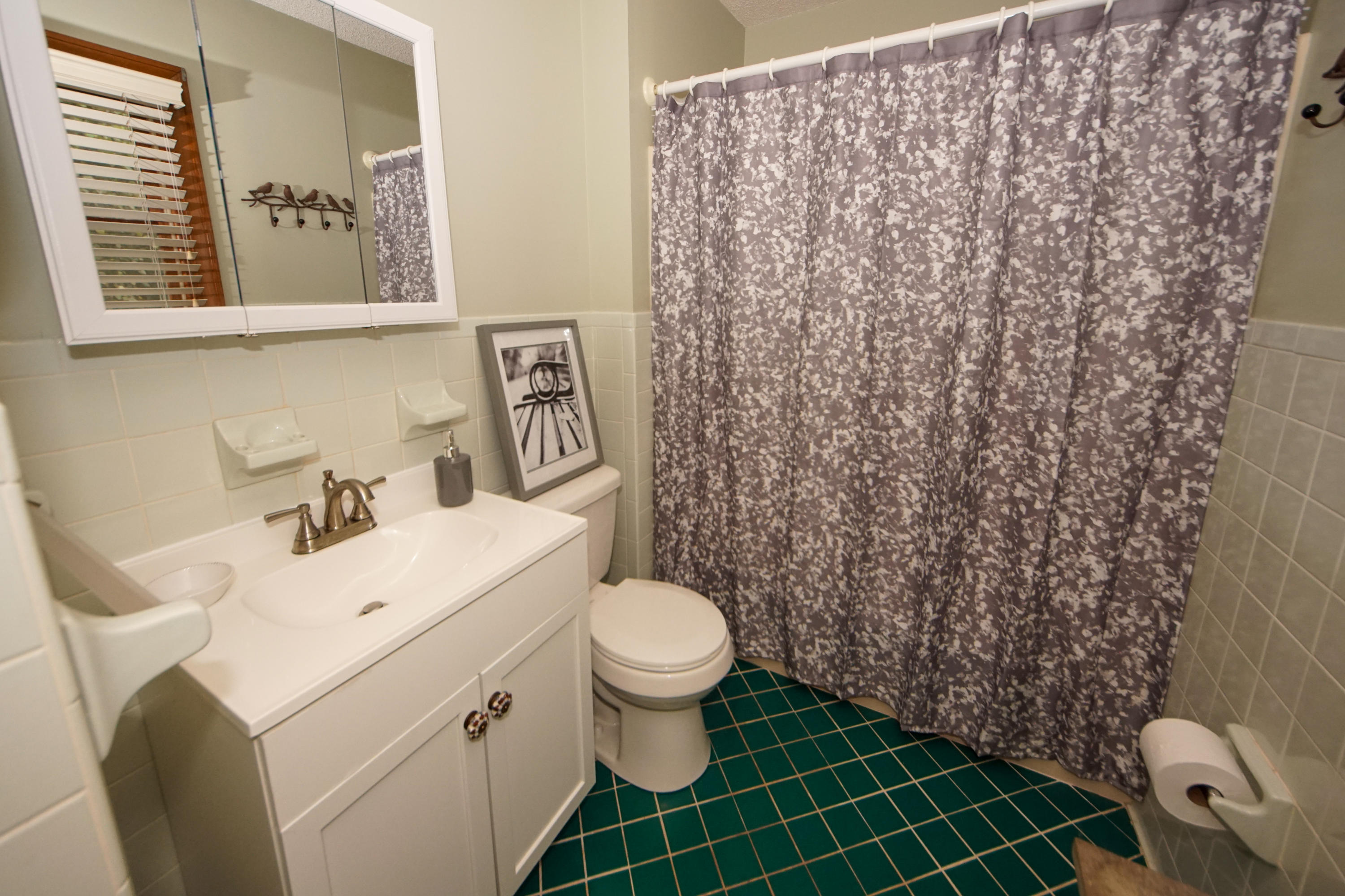 672 Riley Road Charleston, SC 29412 - Photo 18 of 35 Owners' Bathroom