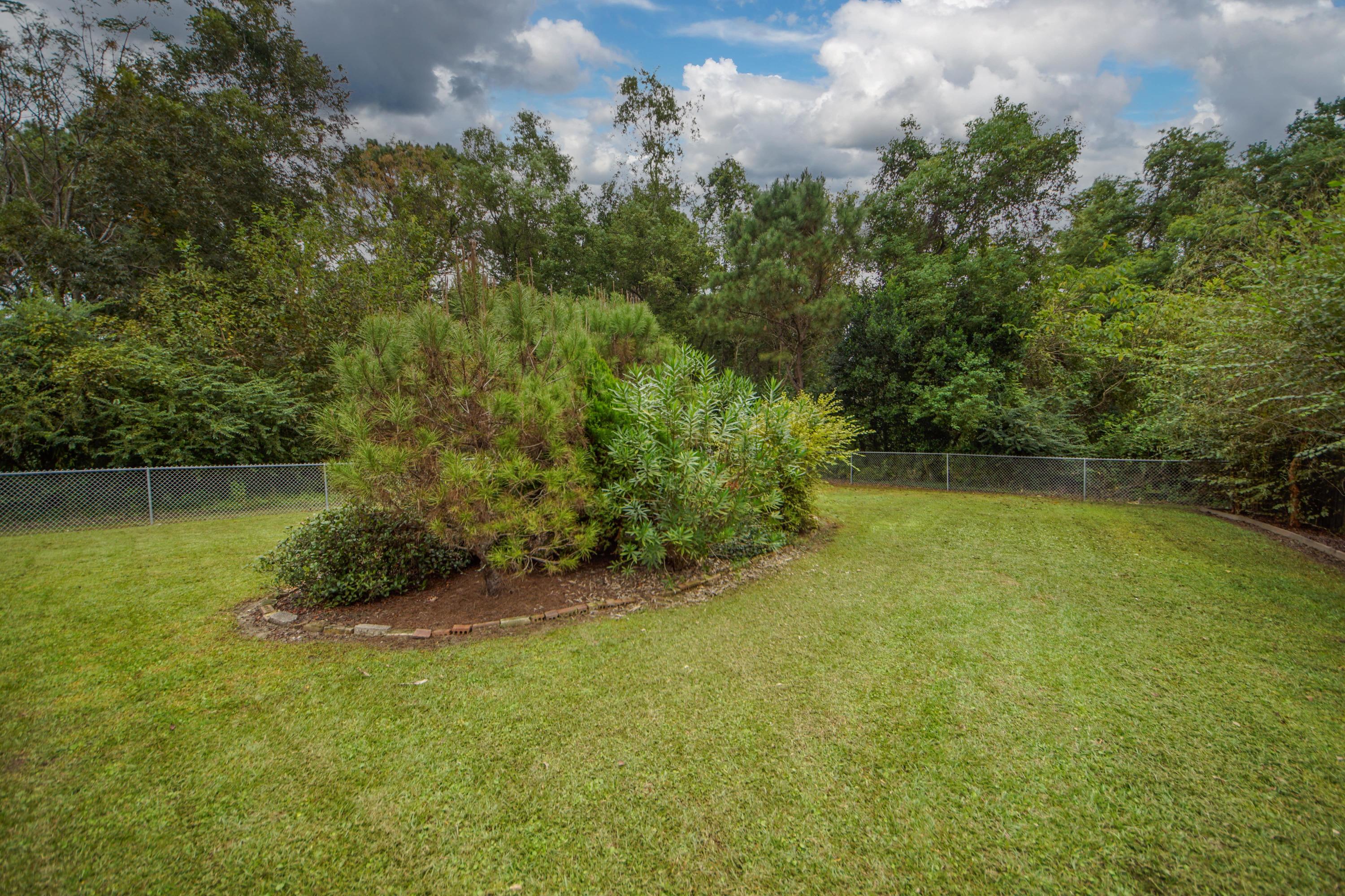 672 Riley Road Charleston, SC 29412 - Photo 28 of 35 Backyard