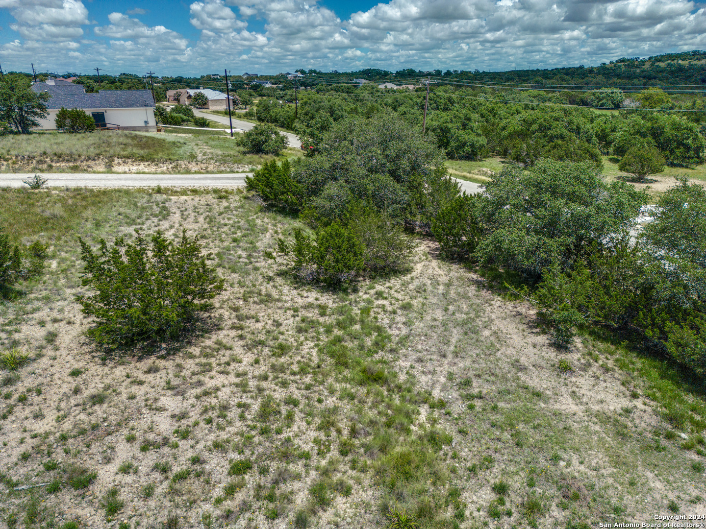 793 Daniel Jackson Blanco, TX 78606 - Photo 4 of 12