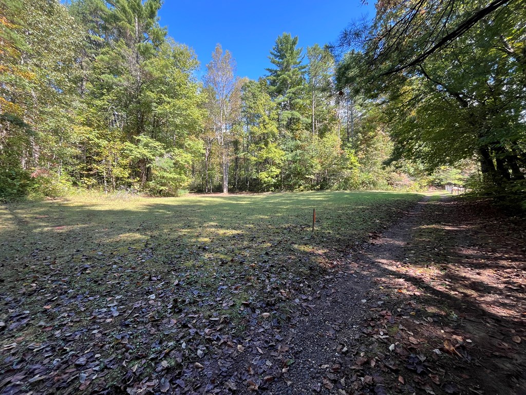 10977 Beaver Dam Road Murphy, NC 28906 - Photo 17 of 29 Gallery Image 17