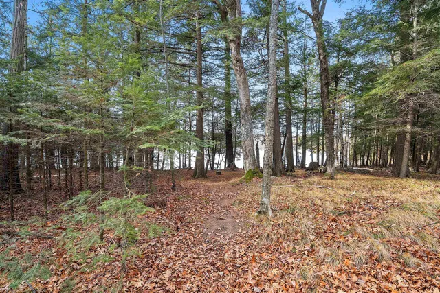 $949,900 | W8951 Pence Lake Road, Deerbrook, WI 54424