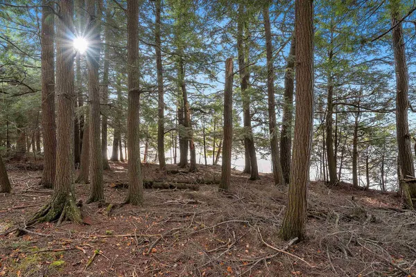 $949,900 | W8951 Pence Lake Road, Deerbrook, WI 54424