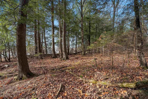 $949,900 | W8951 Pence Lake Road, Deerbrook, WI 54424