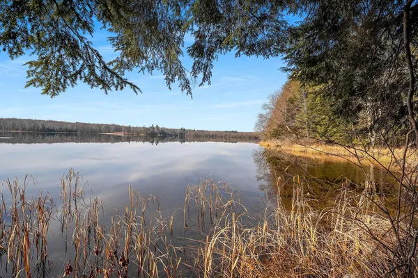 $949,900 | W8951 Pence Lake Road, Deerbrook, WI 54424