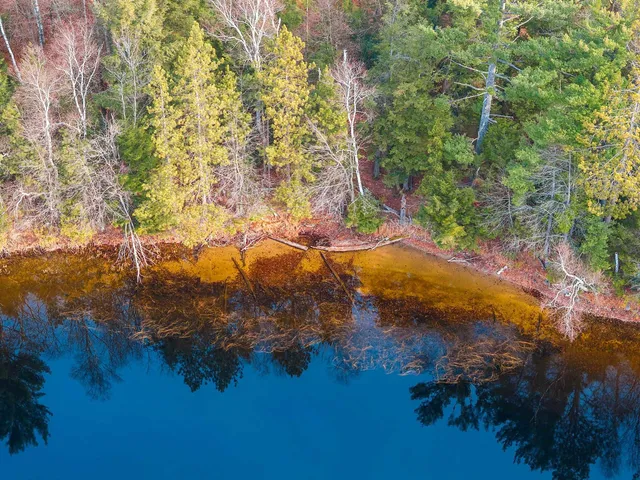 $949,900 | W8951 Pence Lake Road, Deerbrook, WI 54424