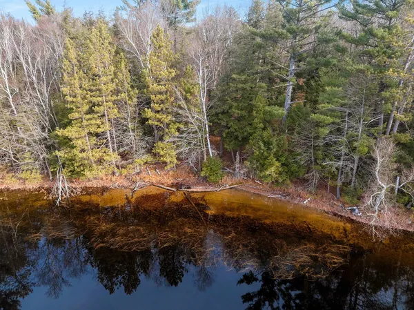 $949,900 | W8951 Pence Lake Road, Deerbrook, WI 54424