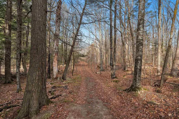 $949,900 | W8951 Pence Lake Road, Deerbrook, WI 54424