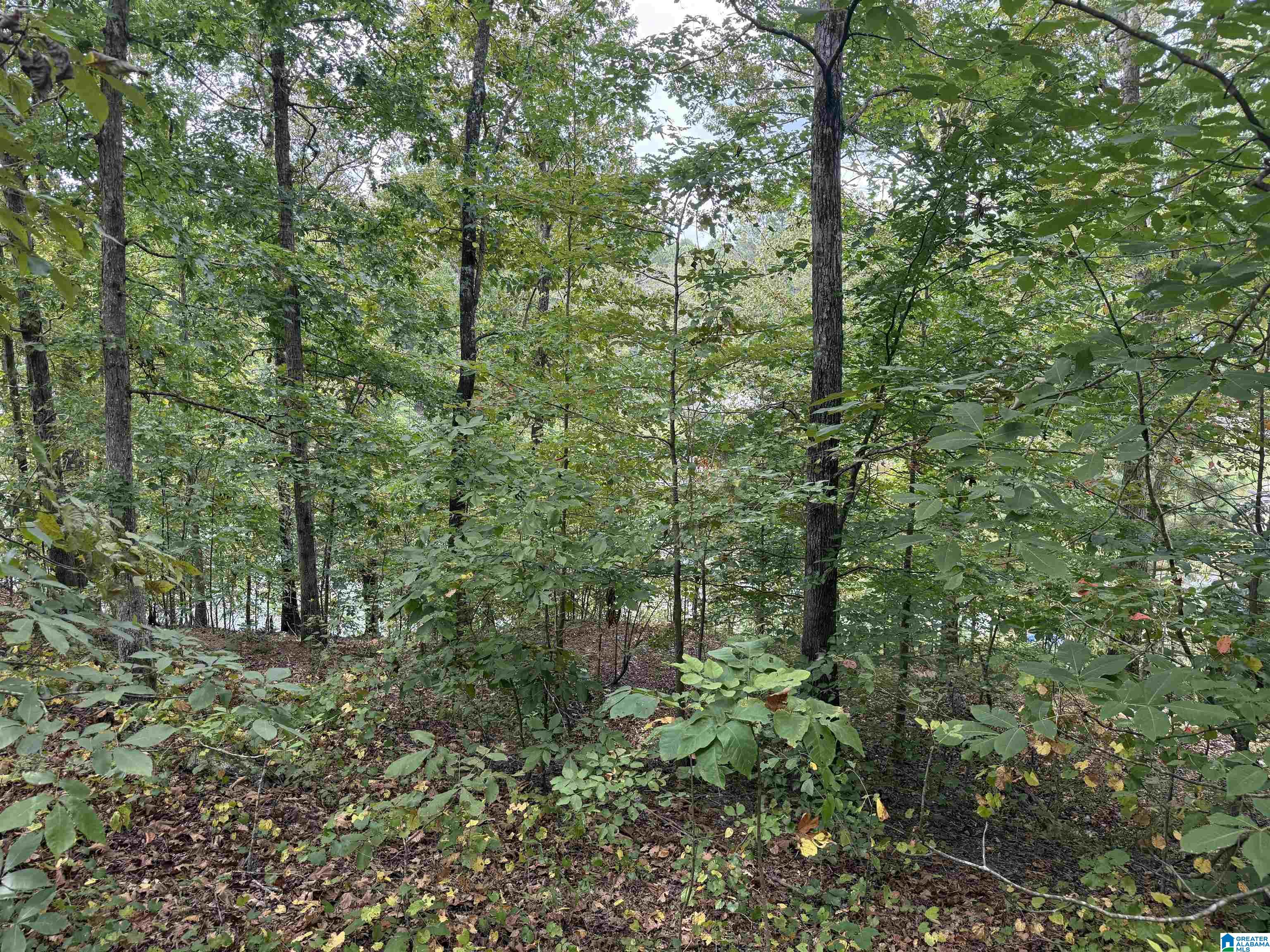 0 Lakeside Circle, Unit 31 Delta, AL 36258 - Photo 7 of 16