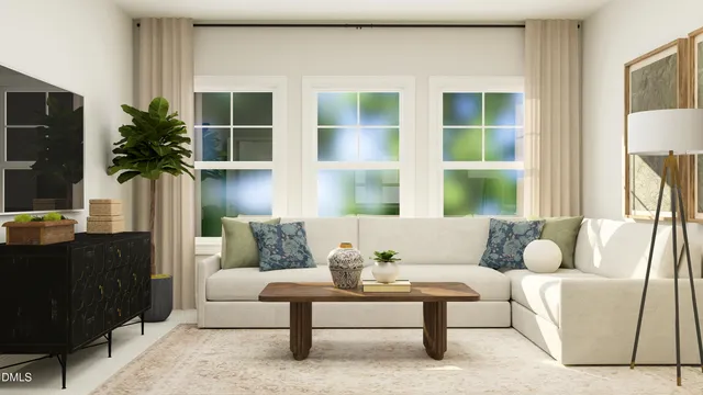 a living room with furniture and a potted plant