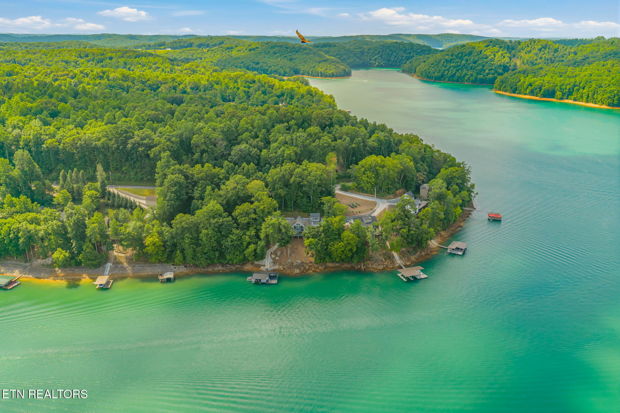 1779 Cove Pointe Road La Follette, TN 37766 - Photo 56 of 59 61-web-or-mls-1779 Cove Point Road-62