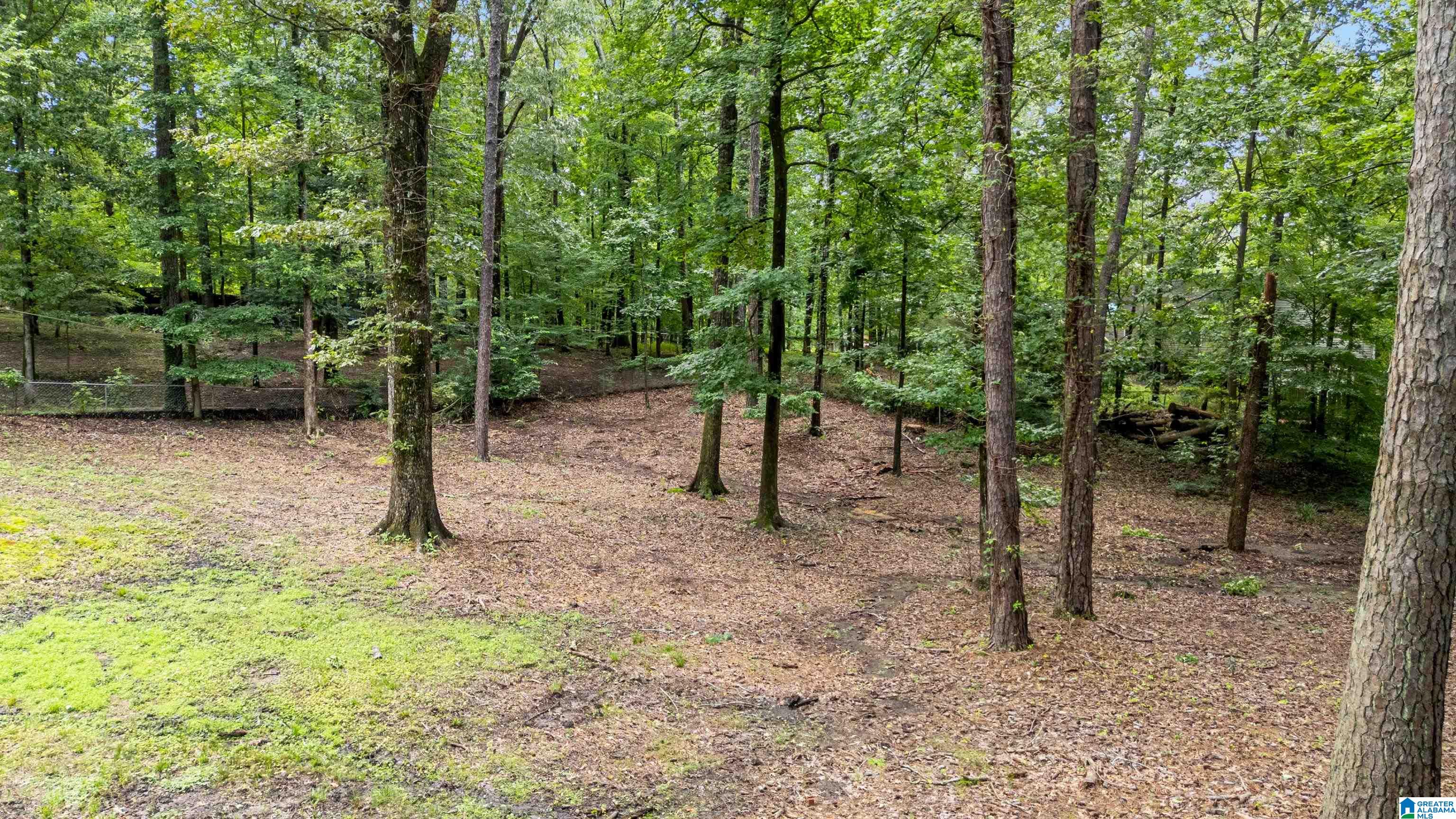 499 New Hope Mountain Road Pelham, AL 35124 - Photo 55 of 62