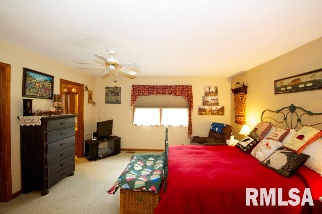 735 Vines Road Cobden, IL 62920 - Photo 12 of 24 Gallery Image 12