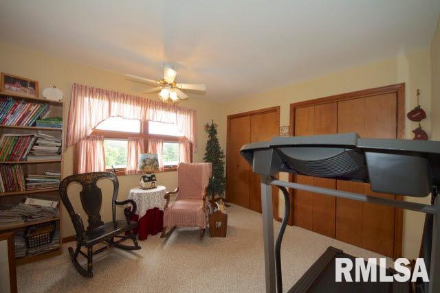 735 Vines Road Cobden, IL 62920 - Photo 17 of 24 Gallery Image 17