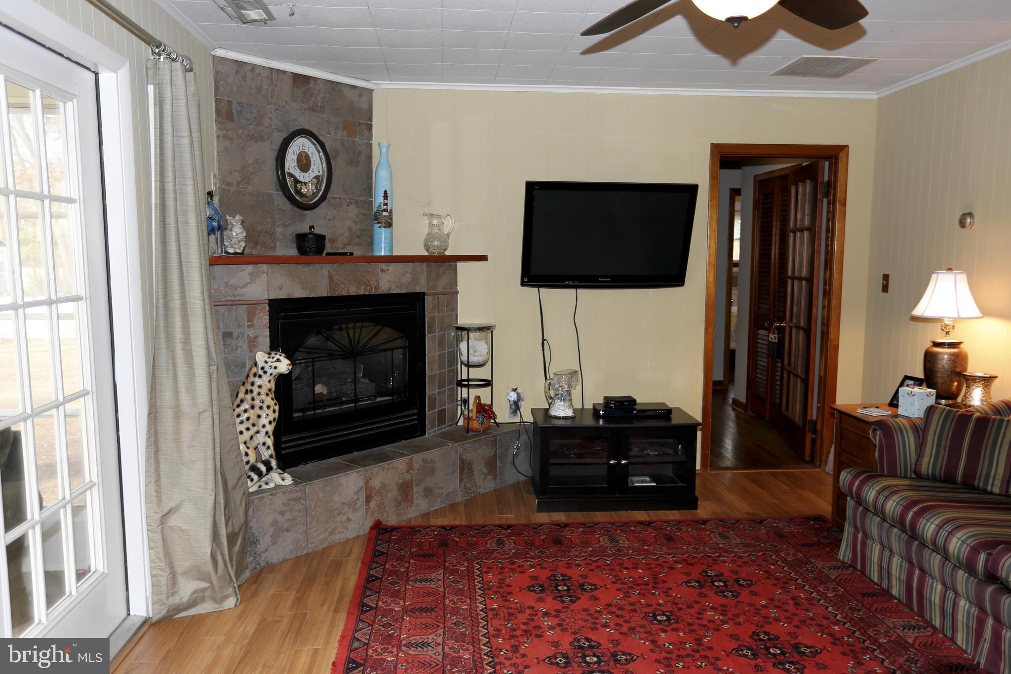 22296 Breasure Road Georgetown, DE 19947 - Photo 6 of 47 Gas fireplace